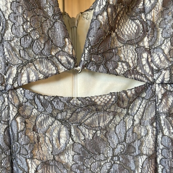 Line + Dot Lace Dress - Picture 2 of 6